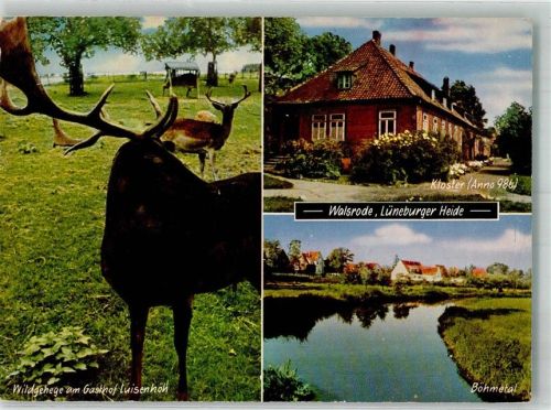 Walsrode Gasthaus Gasthof Luisenhöh Walsrode Kloster Anno 986 Böhmetal