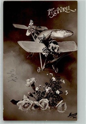 Fisch Spielzeugflugzeug Blumen
