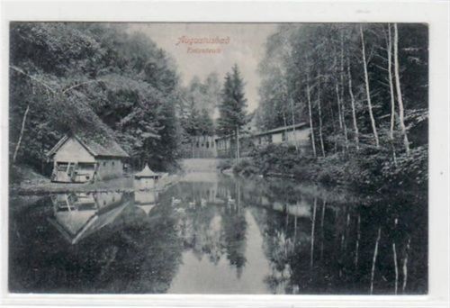 Liegau-Augustusbad Augustusbad mit Ententeich gelaufen, Marke entfernt. Gute Erhaltung.