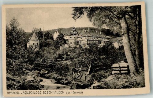 Bebenhausen Herzogliches Jagdschloss Wild Reh