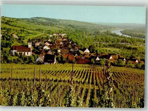 Bad Bellingen Panorama des Ortes mit Kirche St. Leodegar