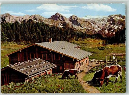 Gotzenalm Berggaststätte Springlkasen Gasthaus Berge Kühe