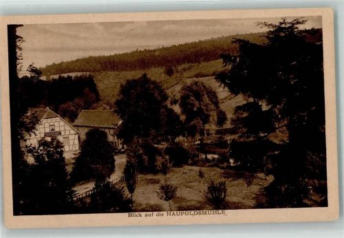 Eisenberg Naupoldsmühle Mühltal