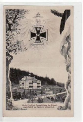 Penig Penig mit König Friedrich August-Heim der Patentpapierfabrik in Wilischthal ungelaufen Leicht bügig, sonst gut erhalten.