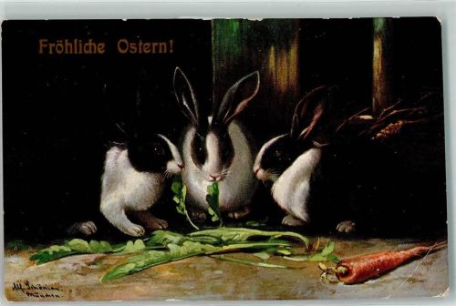 1909 Ostern Kaninchen fressen Karoten TSN Serie 533 AK