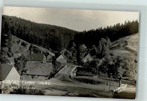 Tanne Wald Straße