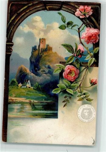 1910 Blick durch ein Tor Burg Rosen Rhein AK