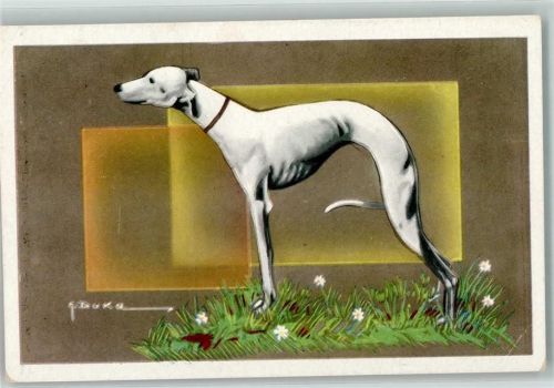 sign. G. Duka AK Windhund Künstlerkarte