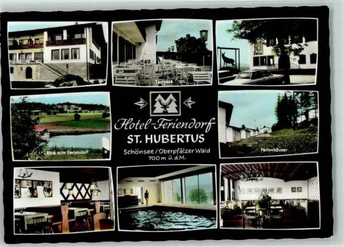 92539 W8476 Schönsee - Hotel-Feriendorf St. Hubertus Gastraum Schwimmbad Terrasse Hirsch