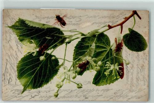 1914 an den Blüten AK