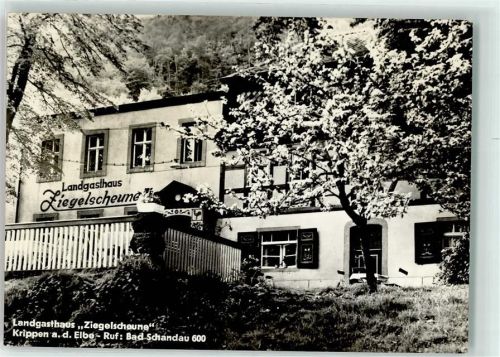Krippen Gasthaus Ziegelscheune Baumblüte