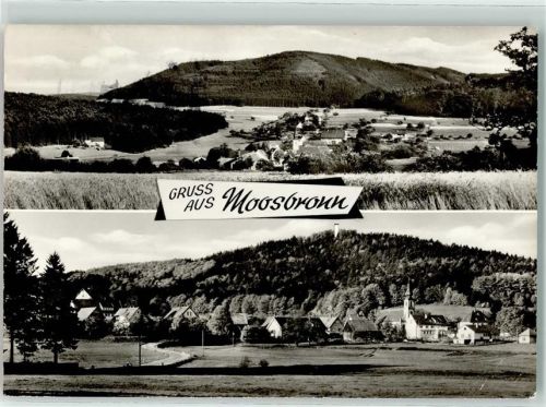 76571 W7560 Moosbronn Gebrauchsspuren