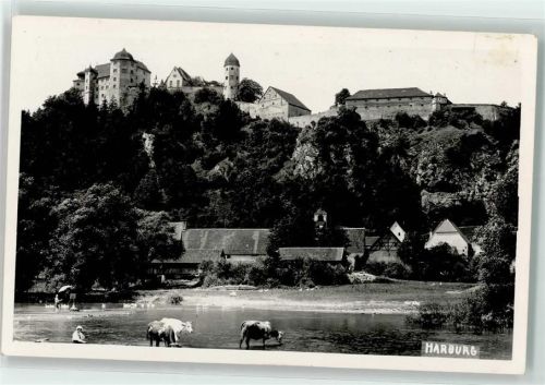 86655 W8856 Harburg Schwaben - Schloß Harburg Kühe