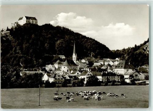 Riedenburg Kirche Kühe Vieh