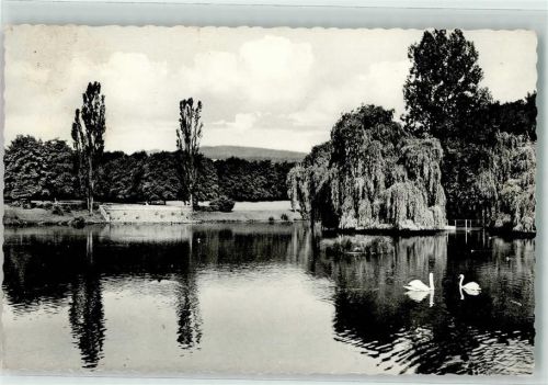 Letmathe Volksgarten Schwanenteich Schwäne