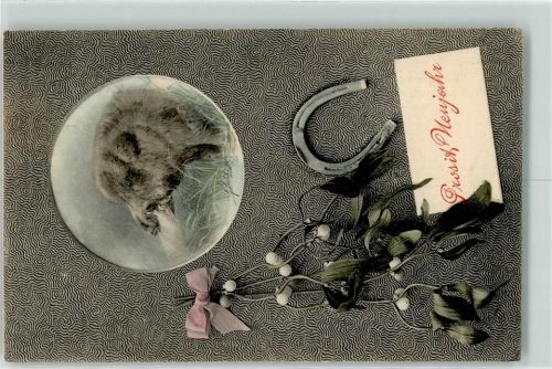 1905 Passepartout Neujahr Mistelzweig Hufeisen A.S Serie 342