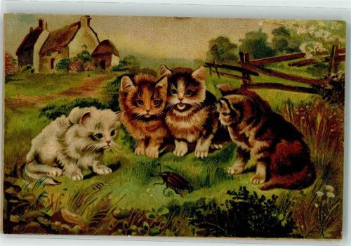 1917 4 Katzen und ein Maikäfer