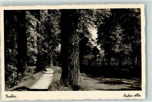 86807 W8938 Buchloe Foto AK Seufzer Allee