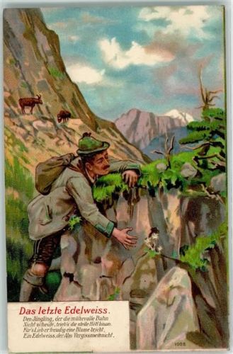 1906 Prägedruck Bergsteiger Gämsen