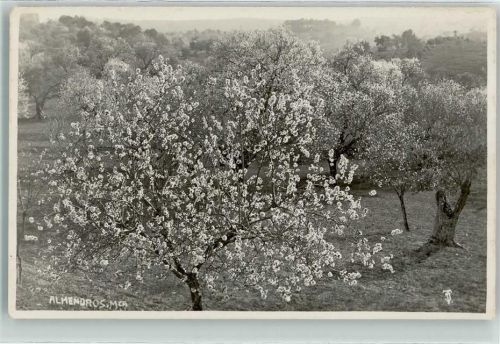 Almendros
