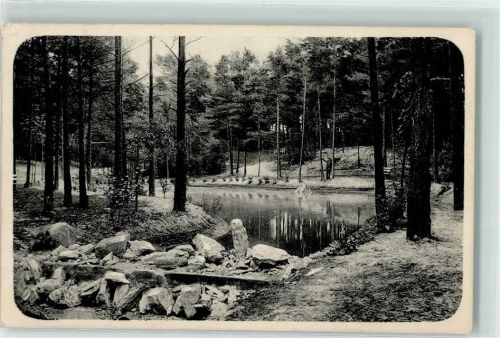 Bad Lippspringe 1910 Waldsee