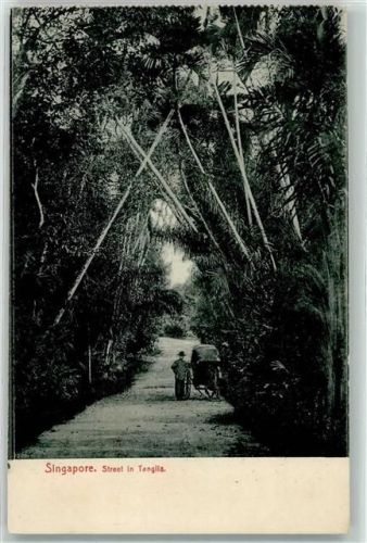 Singapore Street in Tanglia Wagen