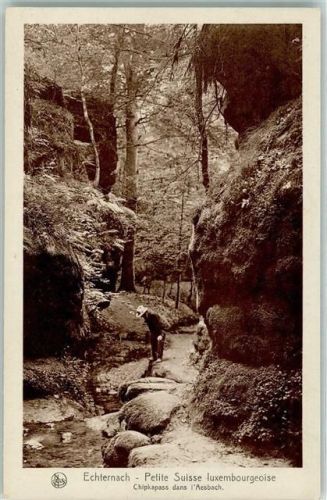 Echternach Petit Suisse luxembourgeoise Chipkapass dans l Aesbach