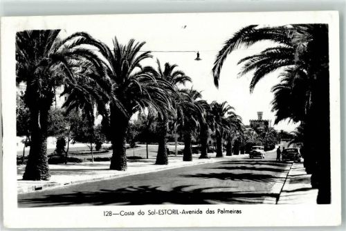 Estoril Costa do Sol Avenida das Palmeiras Palmen Auto