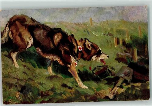 1915 im Felde Rotes Kreuz Wohlfahrtskarte Verein für Sanitätshunde