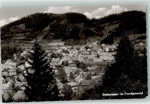 Steinwiesen