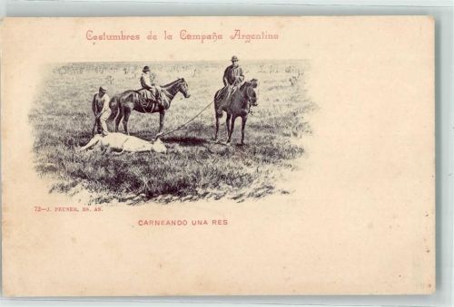 Costumbres de la Campana Argentina Carneando una Res Vieh Pferd