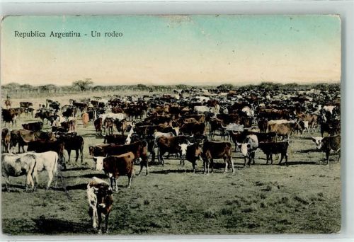 1912 un Rodeo Viehherde