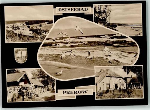 Ostseebad Prerow Hohe Düne Weststrand Möwen Ladenstraße Milchbar