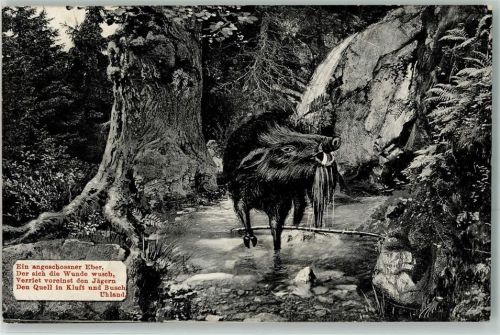 1913 Spruch