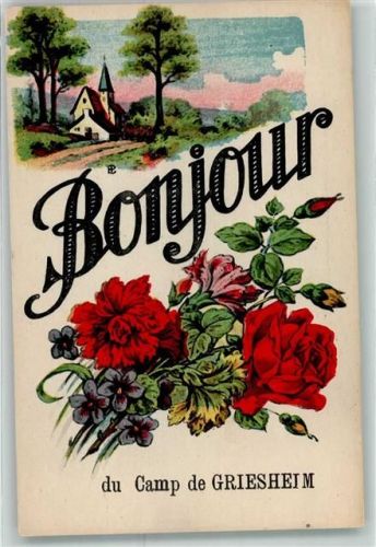 Griesheim Blumen Bonjour Serie 216