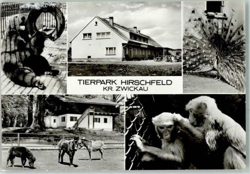 Hirschfeld Tierpark Gasthaus Bärenschänke Pfau Affen Braunbär