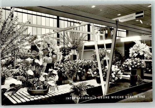Westend 1963 Grüne Woche Halle VI Pommern Ausstellung Niederlande