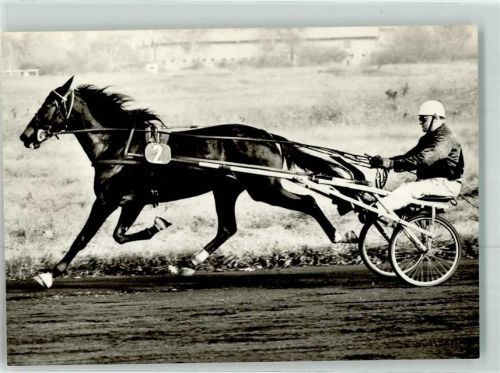 Karlshorst 1973 Trabrennbahn Internationaler Sieger H. Teurich