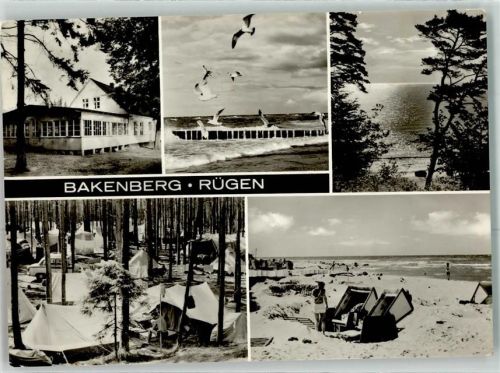 Bakenberg Möwen Zeltplatz Strand