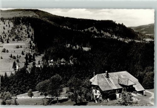 Blasiwald Schwarzwaldhaus