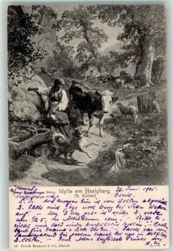 Zürich 1905 Idylle am Haslyberg Kuh Schafe Hund