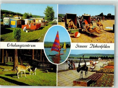 Hohenfelden Erhlungszentrum Stausee Dammwild
