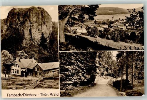 Tambach-Dietharz Waldweg