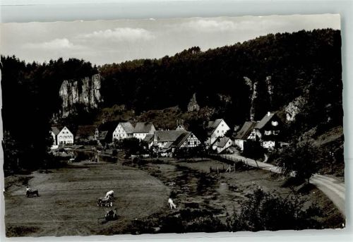 Rupprechtstegen Rinderweide