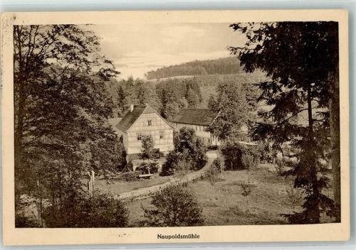 Eisenberg 1917 Das Mühltal Naupoldsmühle