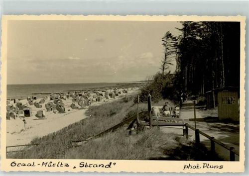Graal-Müritz Strand Strandkörbe