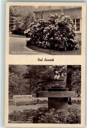 Bad Lausick Am Kurmittelhaus Vogelbrunnen