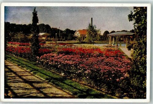 Uetersen Aus den Rosarium Pavillon