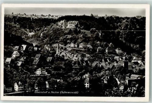 Oberndorf mit St. Michaels Kirche und Ev. Stadtkirche