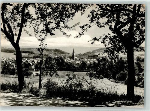 Bad Driburg mit Kirche St. Peter und Paul